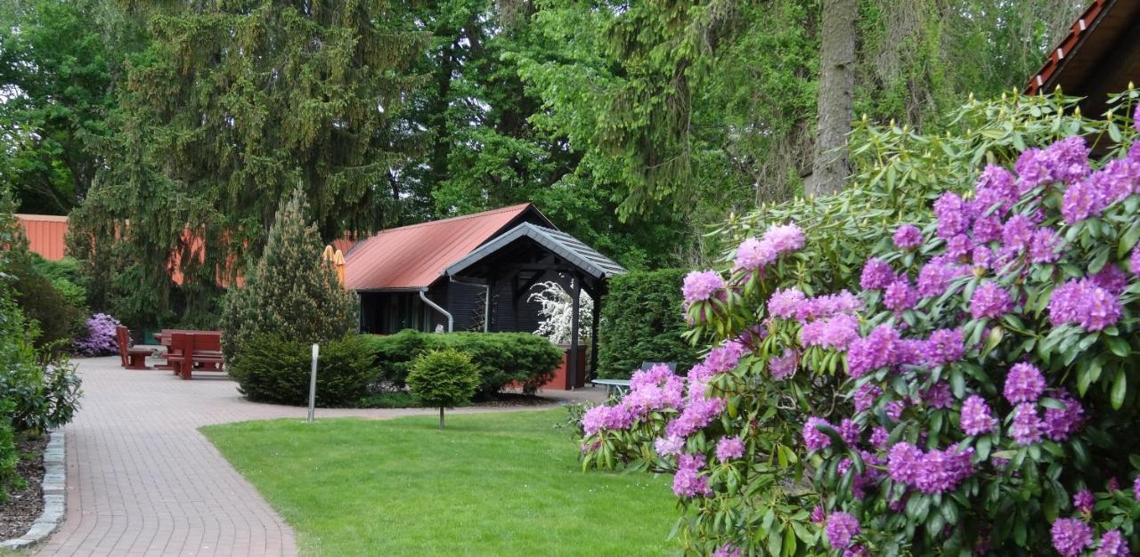 Wassermannapartments Burg  Extérieur photo